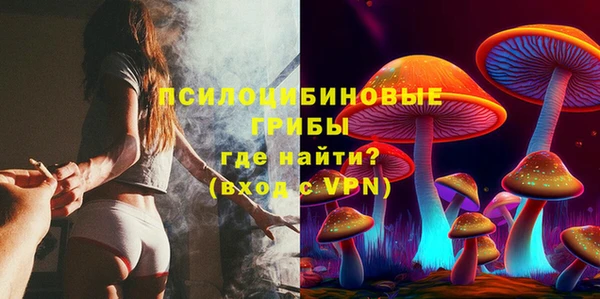 герыч Новозыбков